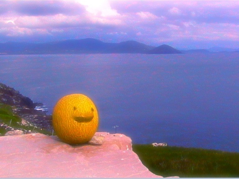 Mr Melon - 2007